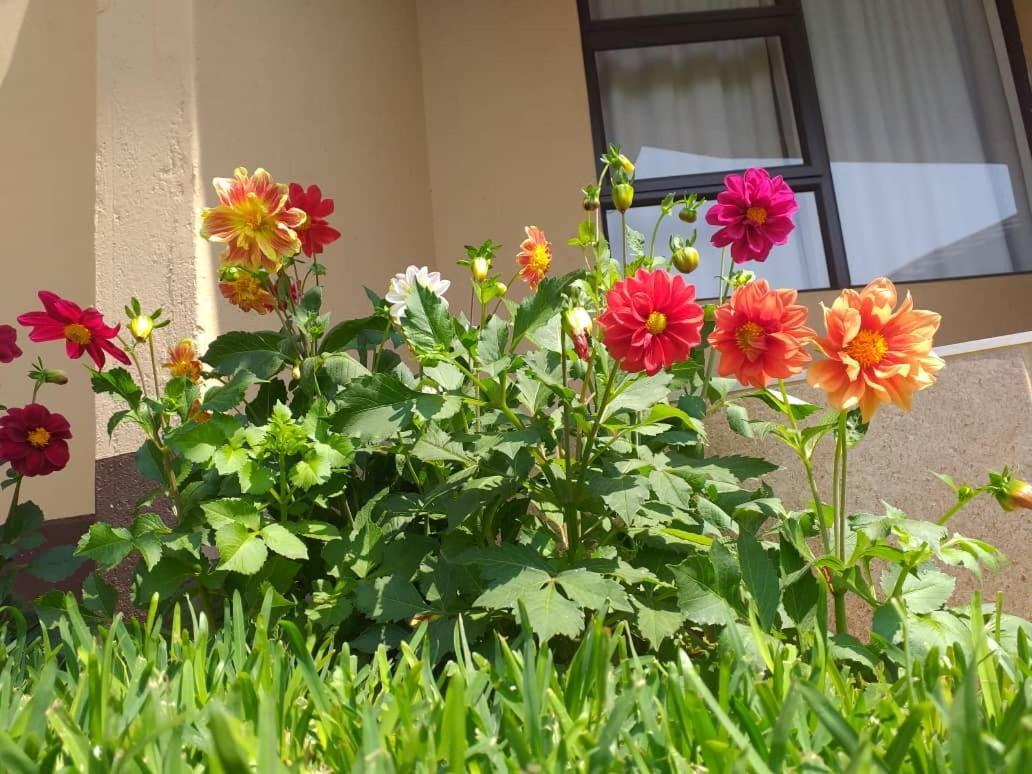 Styled Bed And Breakfast Palapye Экстерьер фото